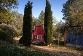 Foto 11