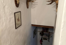 Foto 20