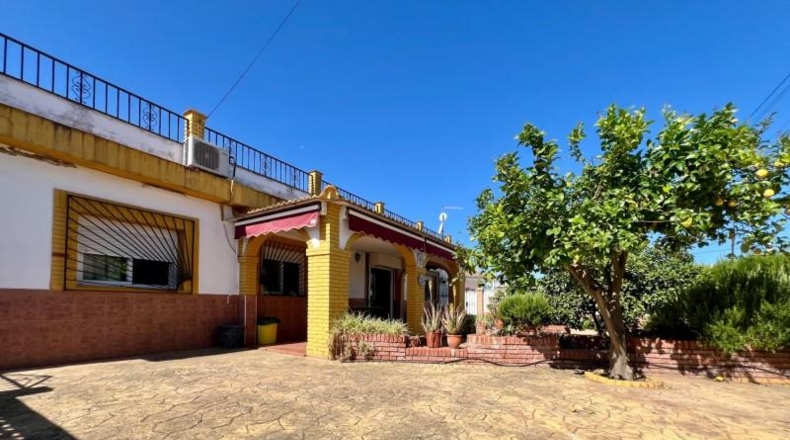 Córdoba - Córdoba - 1000m2