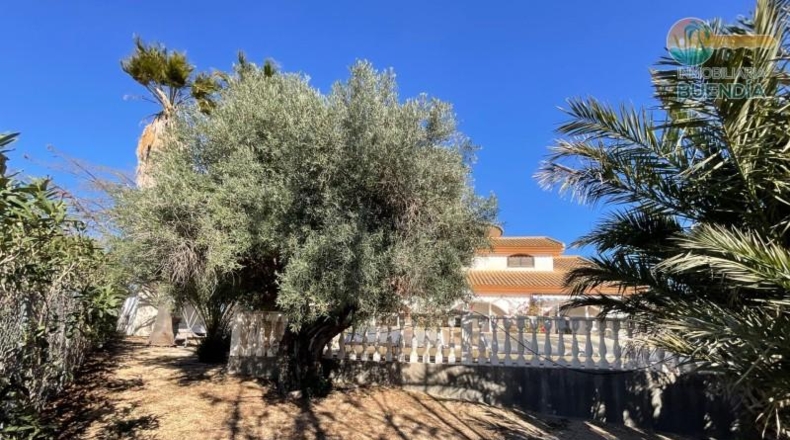 Múrcia - Fuente Álamo de Murcia - 187m2