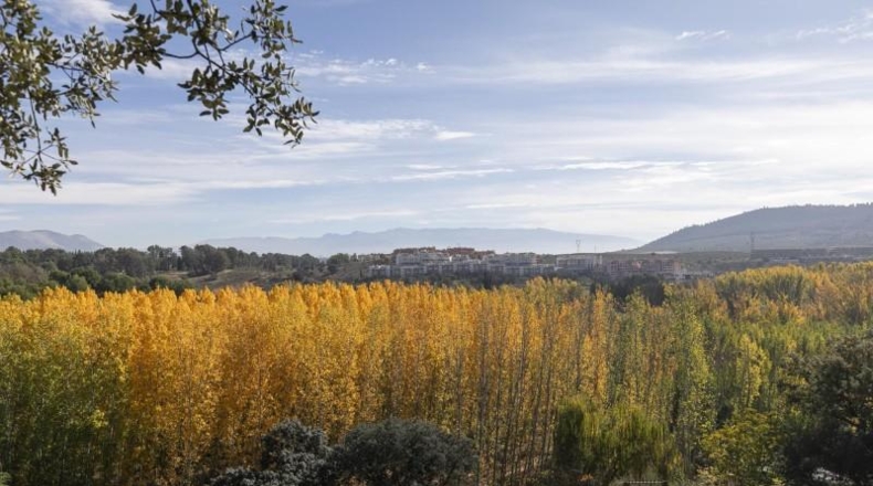 Granada - Maracena - 1331m2