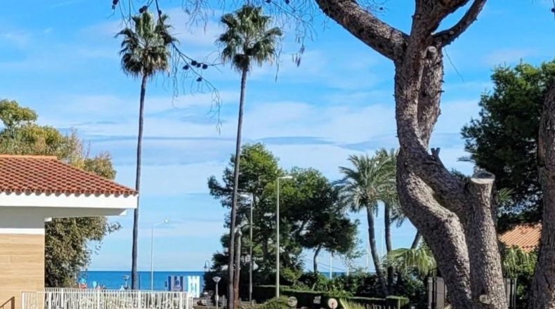 Castellón - Benicasim - 309m2