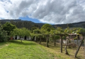 Casa con terreno en venta en Pazos de Borbén ref: TR408000 foto
