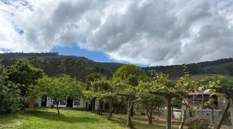 Pontevedra - Pazos de Borbén - 2000m2
