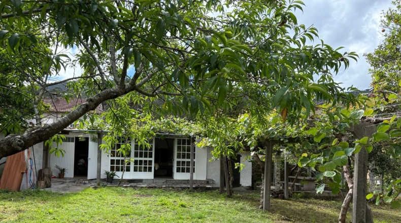 Pontevedra - Pazos de Borbén - 2000m2