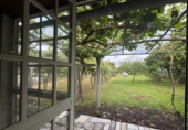 Casa con terreno en venta en Pazos de Borbén ref: TR408000 foto