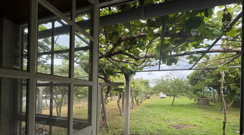 Pontevedra - Pazos de Borbén - 2000m2