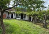 Casa con terreno en venta en Pazos de Borbén ref: TR408000 foto