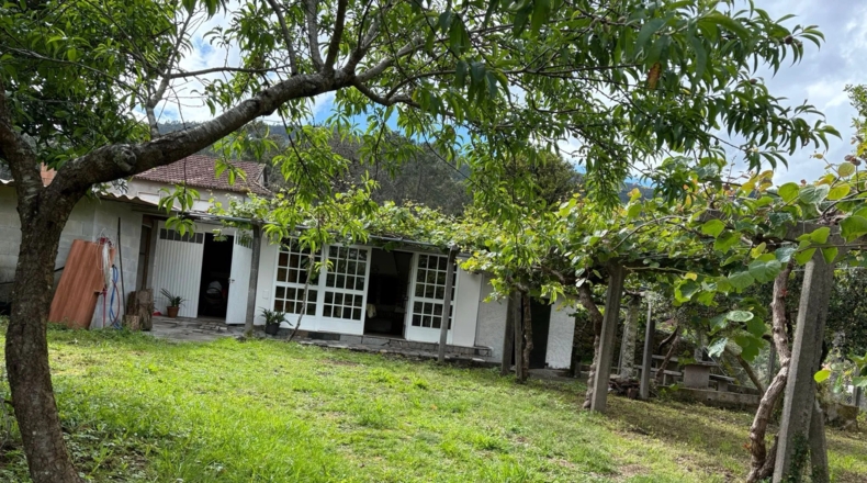 Pontevedra - Pazos de Borbén - 2000m2
