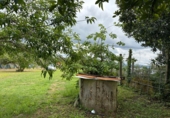 Casa con terreno en venta en Pazos de Borbén ref: TR408000 foto