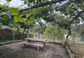 Casa con terreno en venta en Pazos de Borbén ref: TR408000 foto