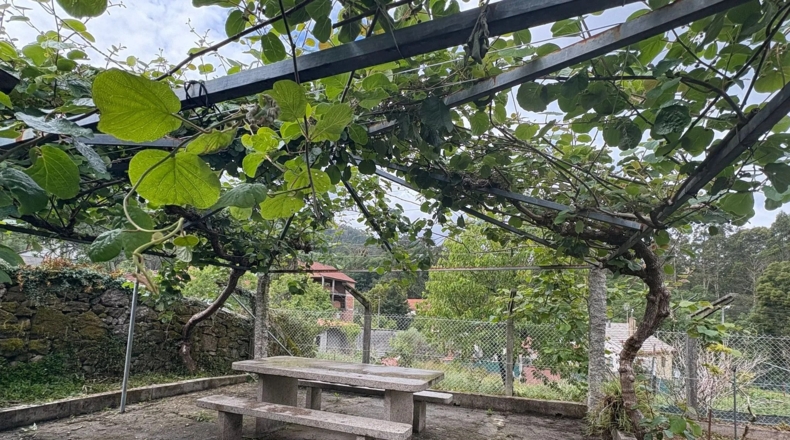Pontevedra - Pazos de Borbén - 2000m2