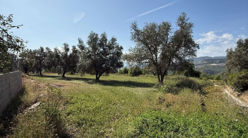 Granada - Béznar - 14169m2