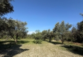 Terreno no urbanizable en venta en Béznar ref: TR408003 foto