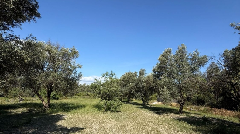 Granada - Béznar - 14169m2