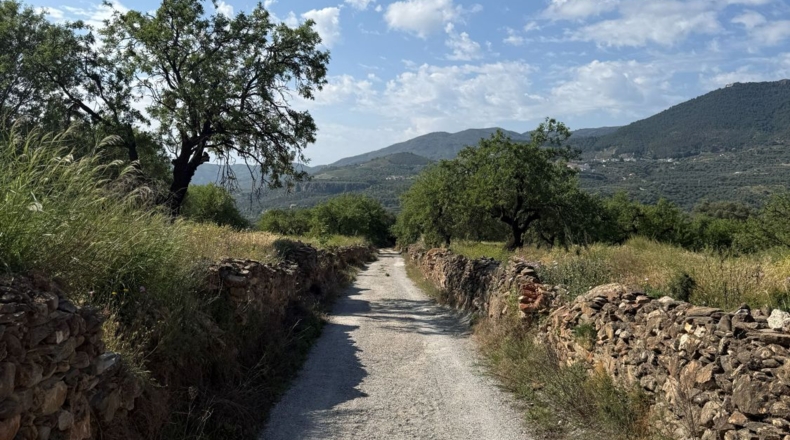 Granada - Béznar - 14169m2
