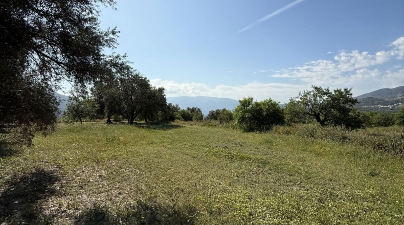 Granada - Béznar - 14169m2