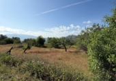 Terreno no urbanizable en venta en Béznar ref: TR408003 foto