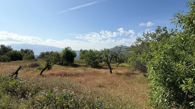 Granada - Béznar - 14169m2