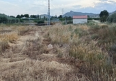 Chalet independiente con terreno en venta en la España, Aspe, ref: TR408005 foto
