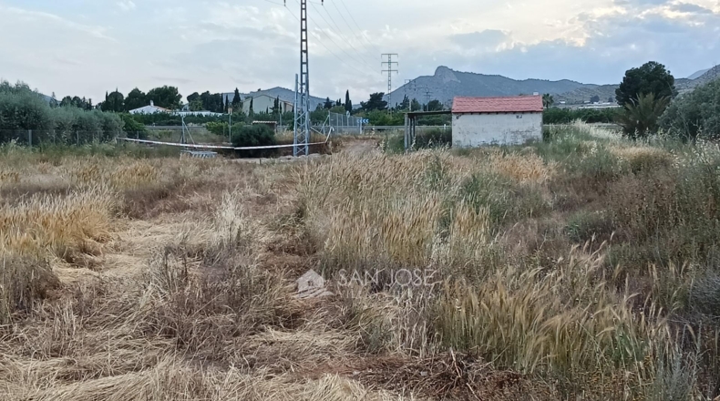 Alicante - Aspe - 5280m2