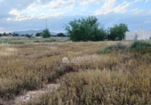 Chalet independiente con terreno en venta en la España, Aspe, ref: TR408005 foto