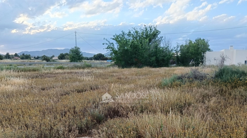 Alicante - Aspe - 5280m2