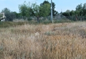 Chalet independiente con terreno en venta en la España, Aspe, ref: TR408005 foto