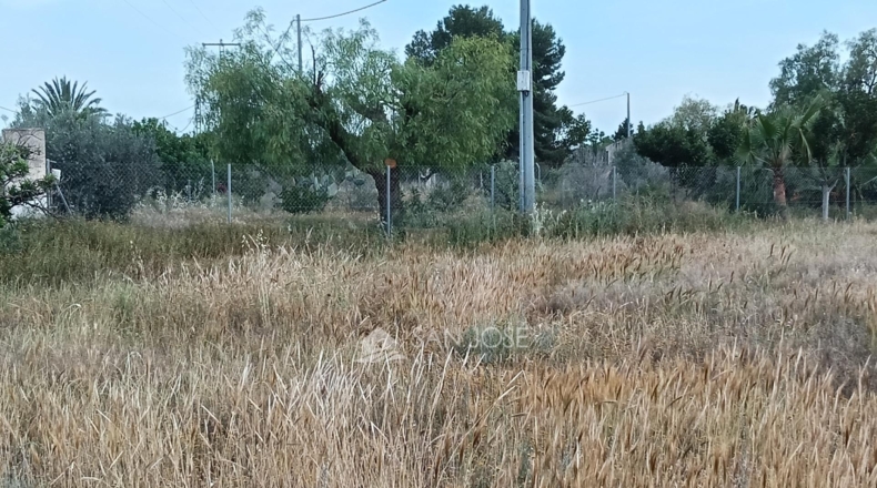 Alicante - Aspe - 5280m2