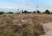 Chalet independiente con terreno en venta en la España, Aspe, ref: TR408005 foto
