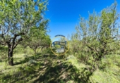 Non-developable land for sale on España, Ròtova, ref: TR408021 photo