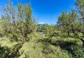 Non-developable land for sale on España, Ròtova, ref: TR408021 photo