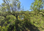 Non-developable land for sale on España, Ròtova, ref: TR408021 photo