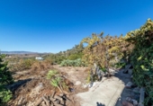 Non-developable land for sale on España, Acequias, ref: TR408020 photo