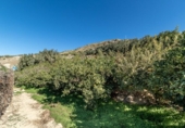 Non-developable land for sale on España, Acequias, ref: TR408020 photo