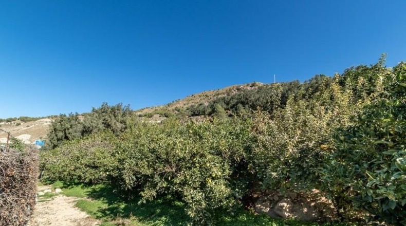 Granada - Acequias - 1181m2