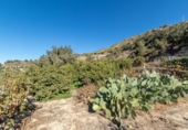 Non-developable land for sale on España, Acequias, ref: TR408020 photo