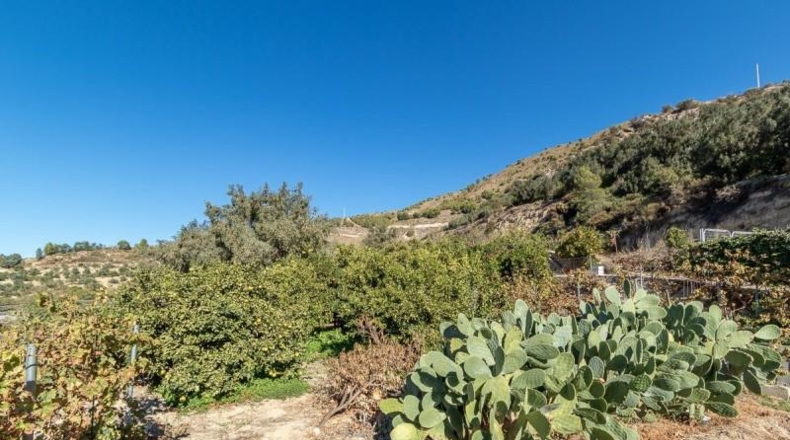 Granada - Acequias - 1181m2