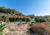 Non-developable land for sale on España, Acequias, ref: TR408020 photo