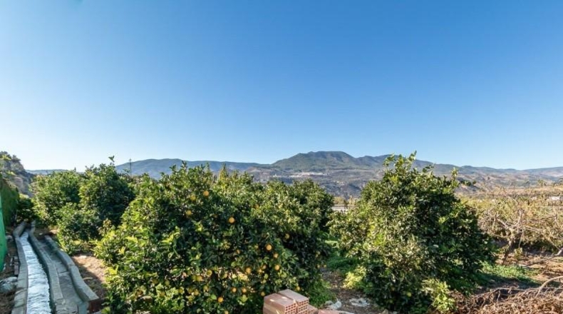 Granada - Acequias - 1181m2