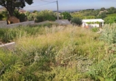 Non-developable land for sale on España, Torrent, ref: TR408022 photo