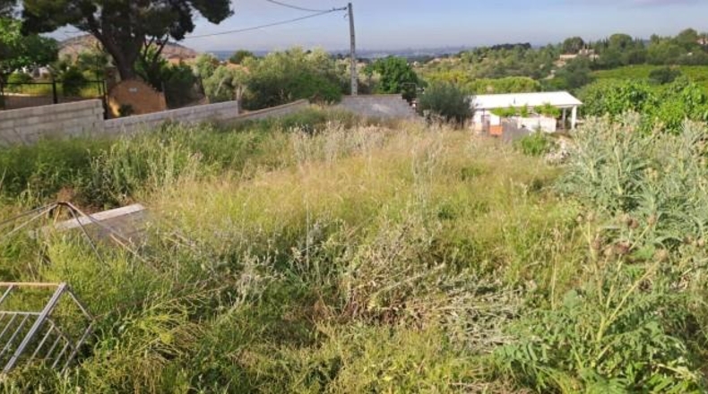València - Torrent - 569m2