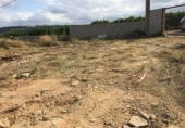 Non-developable land for sale on España, Torrent, ref: TR408022 photo