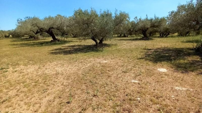 Tarragona - Roquetes - 18807m2