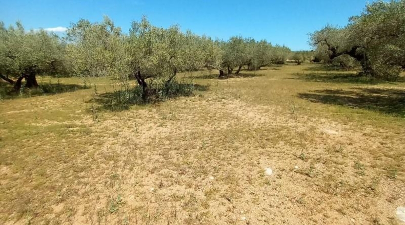 Tarragona - Roquetes - 18807m2