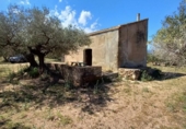 Casa de camp amb terreny en venda a la España, Roquetes, ref.: TR408023 foto