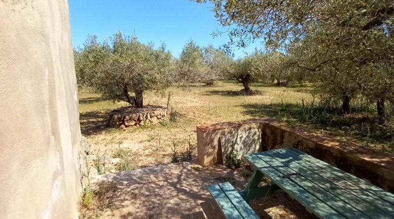 Tarragona - Roquetes - 18807m2