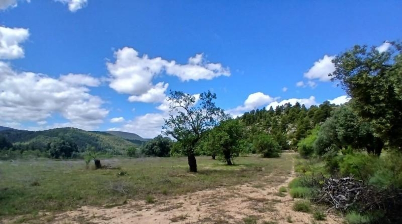 Teruel - Valderrobres - 59666m2