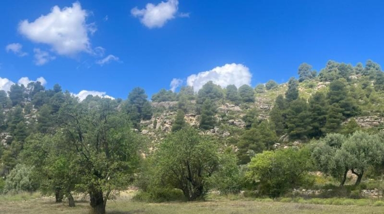 Teruel - Valderrobres - 59666m2