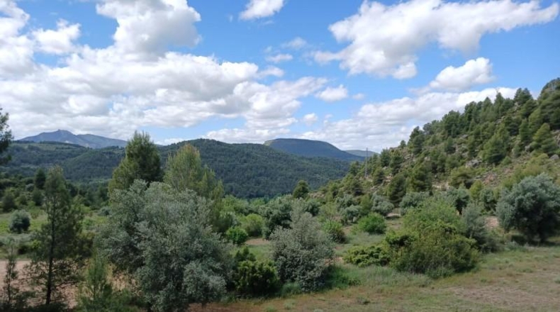 Teruel - Valderrobres - 59666m2